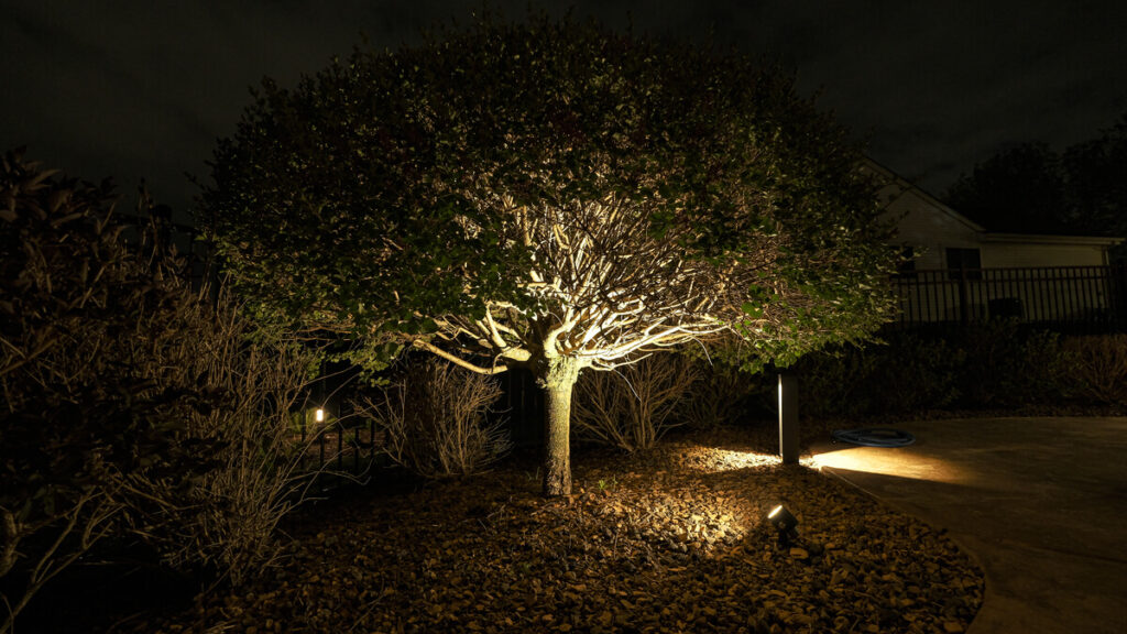 Uplight on a mature tree beside the deck at night