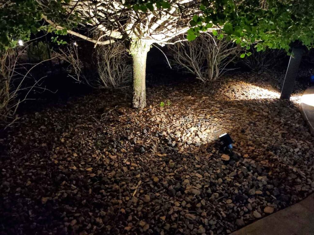 Uplit ornamental tree beside a deck at night